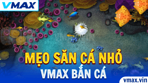 VMAX VMAX Bắn Cá – Mẹo Săn Cá Nhỏ Lợi Nhuận Cao 1 VMAX Bắn Cá – Mẹo Săn Cá Nhỏ Lợi Nhuận Cao