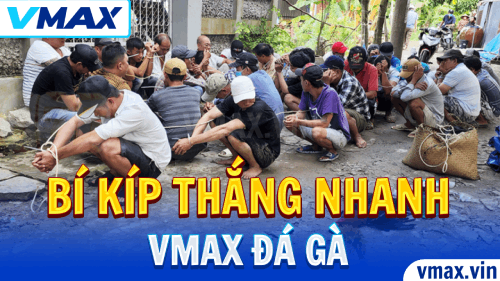 VMAX VMAX Đá Gà – Bí Kíp Tăng Tỷ Lệ Thắng Nhanh 1 VMAX Đá Gà – Bí Kíp Tăng Tỷ Lệ Thắng Nhanh