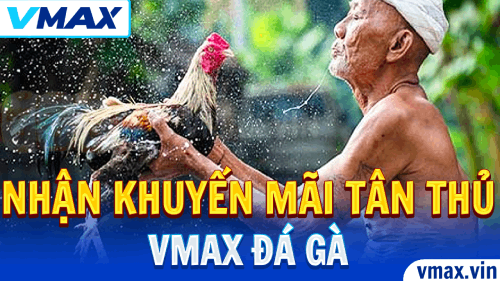 VMAX Đá Gà – Hướng Dẫn Nhận Khuyến Mãi Tân Thủ