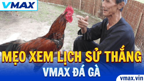 VMAX Đá Gà – Mẹo Xem Lịch Sử Gà Thắng